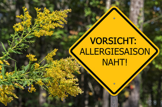 Heuschnupfen 2026: So überstehen Sie die starke Pollensaison – Praktische Tipps & die besten Hilfsmittel