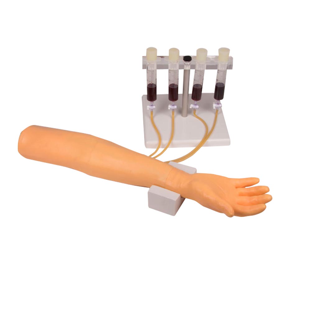 Trainingsarm 7010 mit Infusionsansätzen am Handgelenk, Schlauchanschlüssen