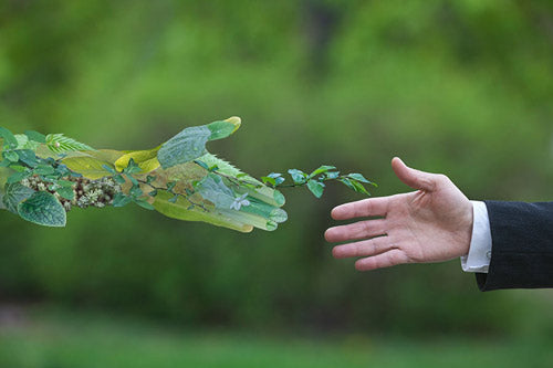 Toallas de papel para el medio ambiente
