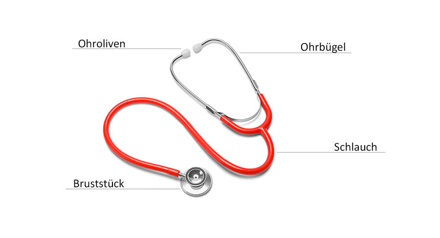 Composants d'un stéthoscope